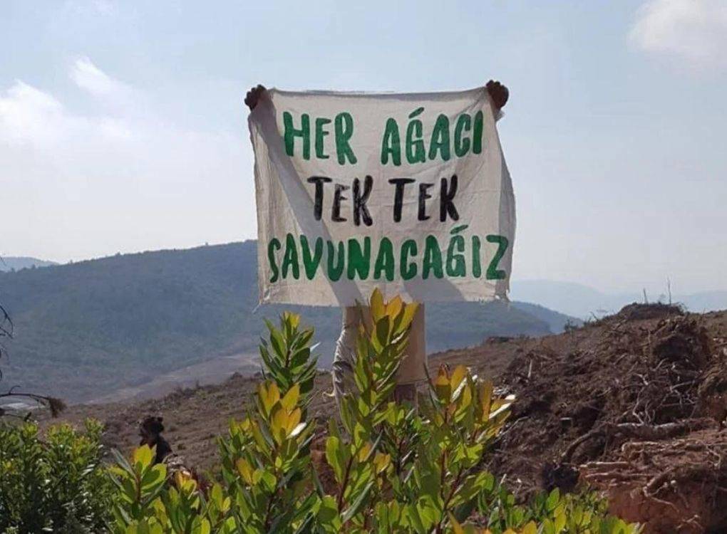 Bu fotoğrafta, bir kişi elinde bir pankart tutmaktadır. Pankartta büyük ve okunaklı harflerle "Her ağacı tek tek savunacağız" yazısı yer almaktadır. Görselin arka planında ormanlık alanlar ve hafif engebeli bir doğa manzarası görülmektedir. Pankartı tutan kişinin yüzü görünmemekte, pankartın arkasında gizlenmiştir.