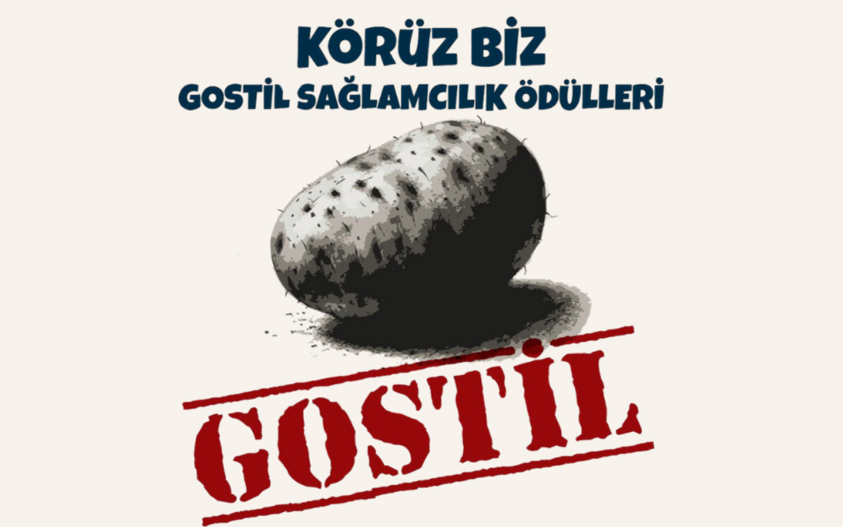 Gostil Sağlamcılık Ödülleri adayları