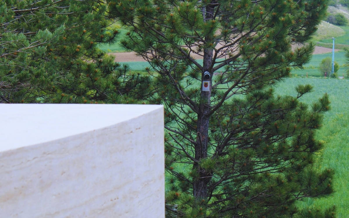 Why do states assert control over the dead?