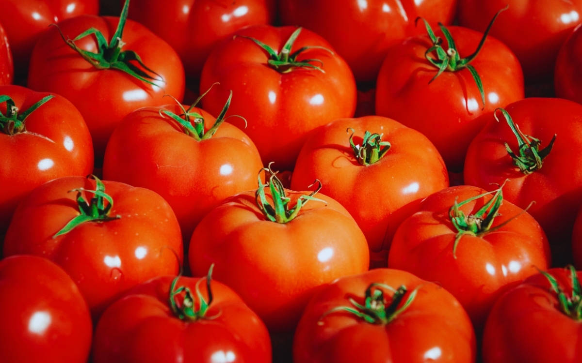 "Yılın LGBTİ+fobiklerini siz belirleyin"