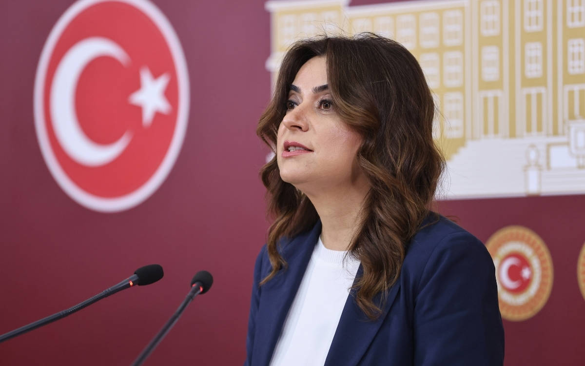 DEM Parti: Meclis sorumluluk alıp yaz boyunca çalışmalı