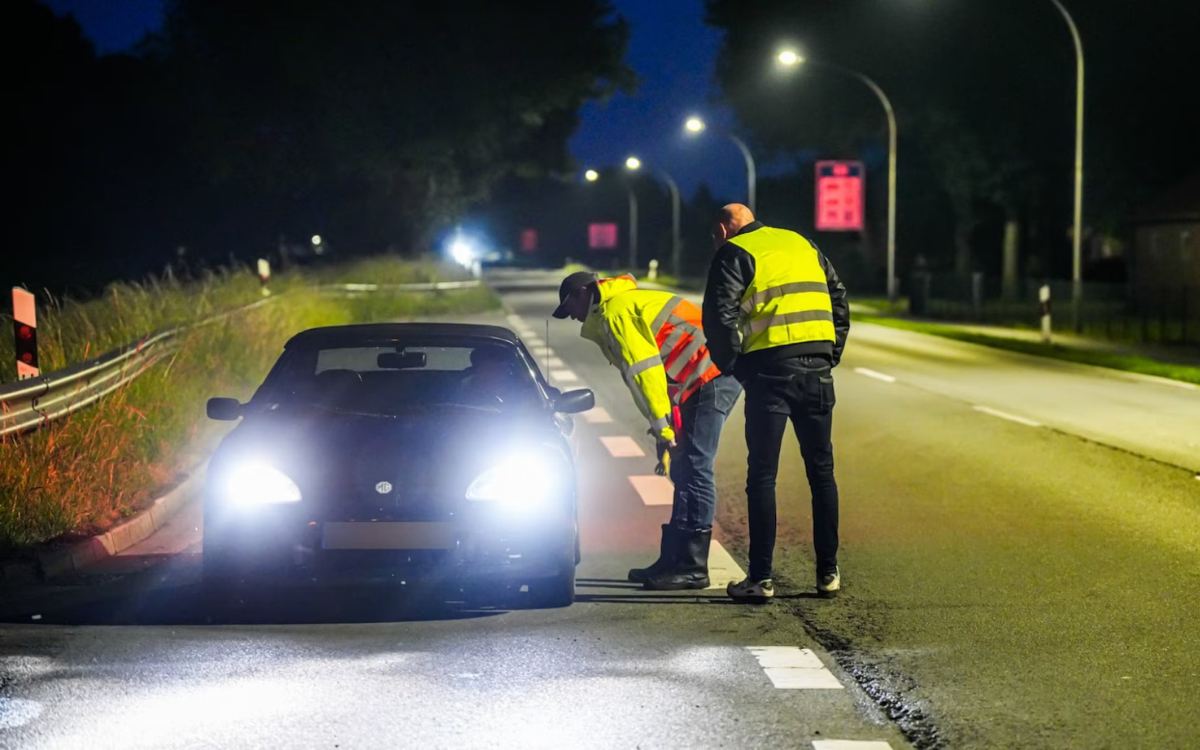 Sınırda ‘devlet’ yok: Hollanda'da yurttaşlar sınır kontrolü yaptı