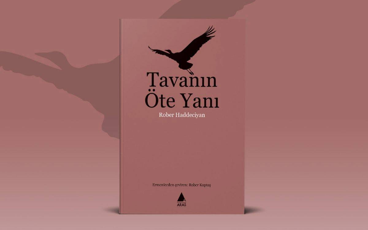 Aras'tan yeni kitap: Tavanın Öte Yanı