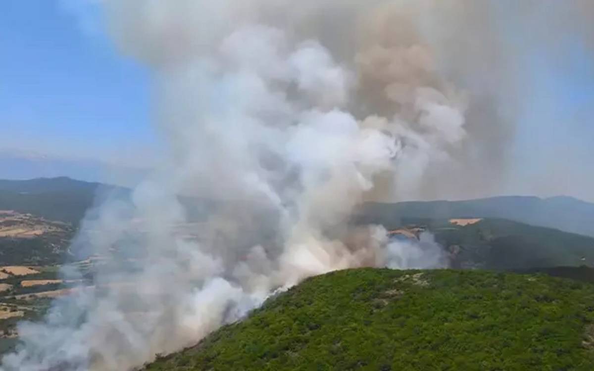 8 ilde orman yangınları