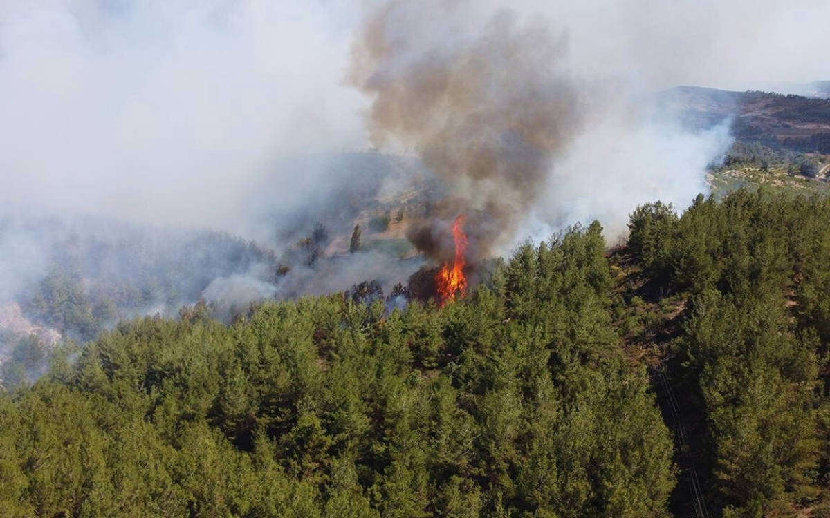 İzmir'in Foça ve Aliağa ilçelerinde orman yangını