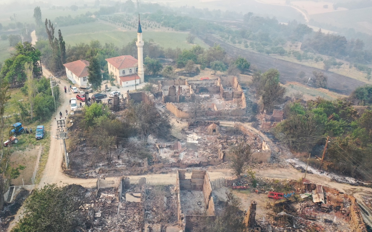 Sakarya’daki orman yangını Bilecik’e sıçradı: Çok sayıda ev zarar gördü