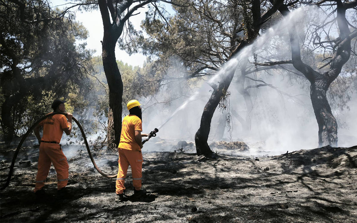Antalya’da çıkan orman yangını kontrol altına alındı