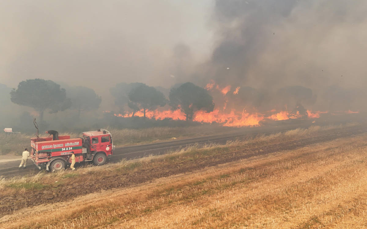 AKP’nin Silivri ilçe eski başkanı yangın çıkardığı için tutuklandı