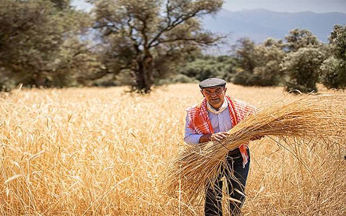 İzmir'de önceki İzBB Başkanı Tunç Soyer ve 59 kişi tutuklandı