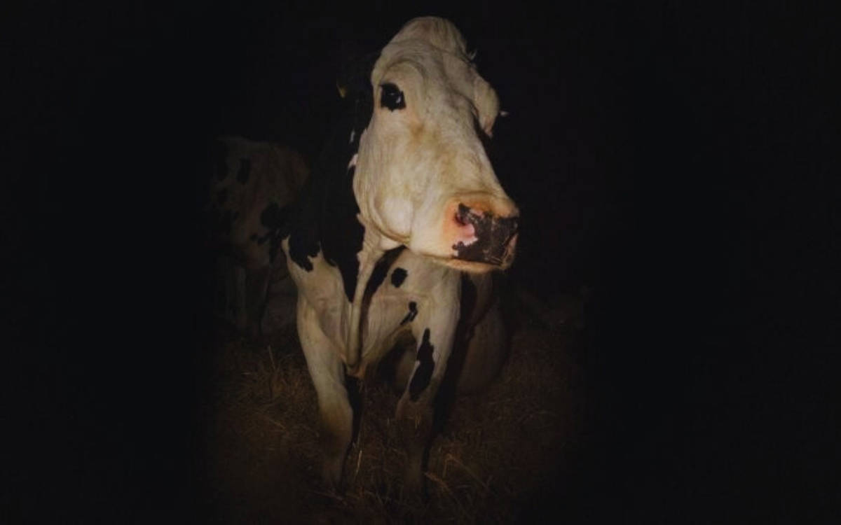 Salt Beyoğlu’nda türler arası gösterim serisi: Bir Nefesin İzinden