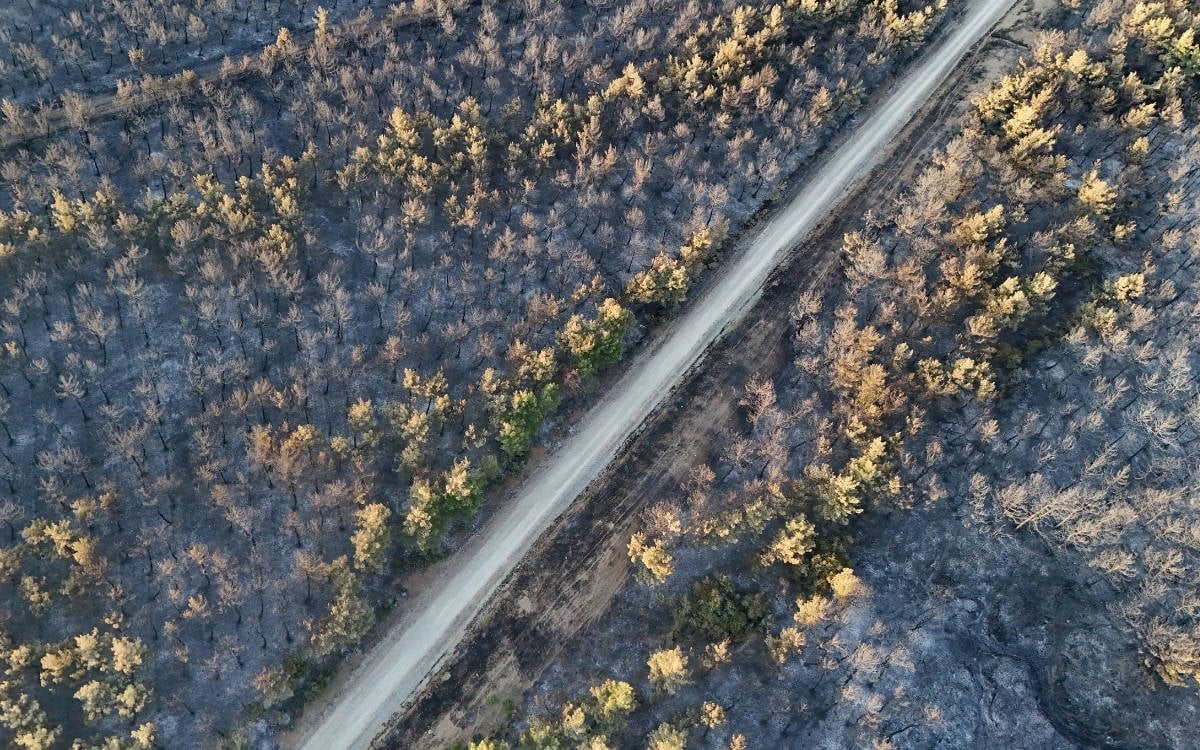 Wildfire contained after blazing through northwest Turkey, damaging farmland, livestock shelters
