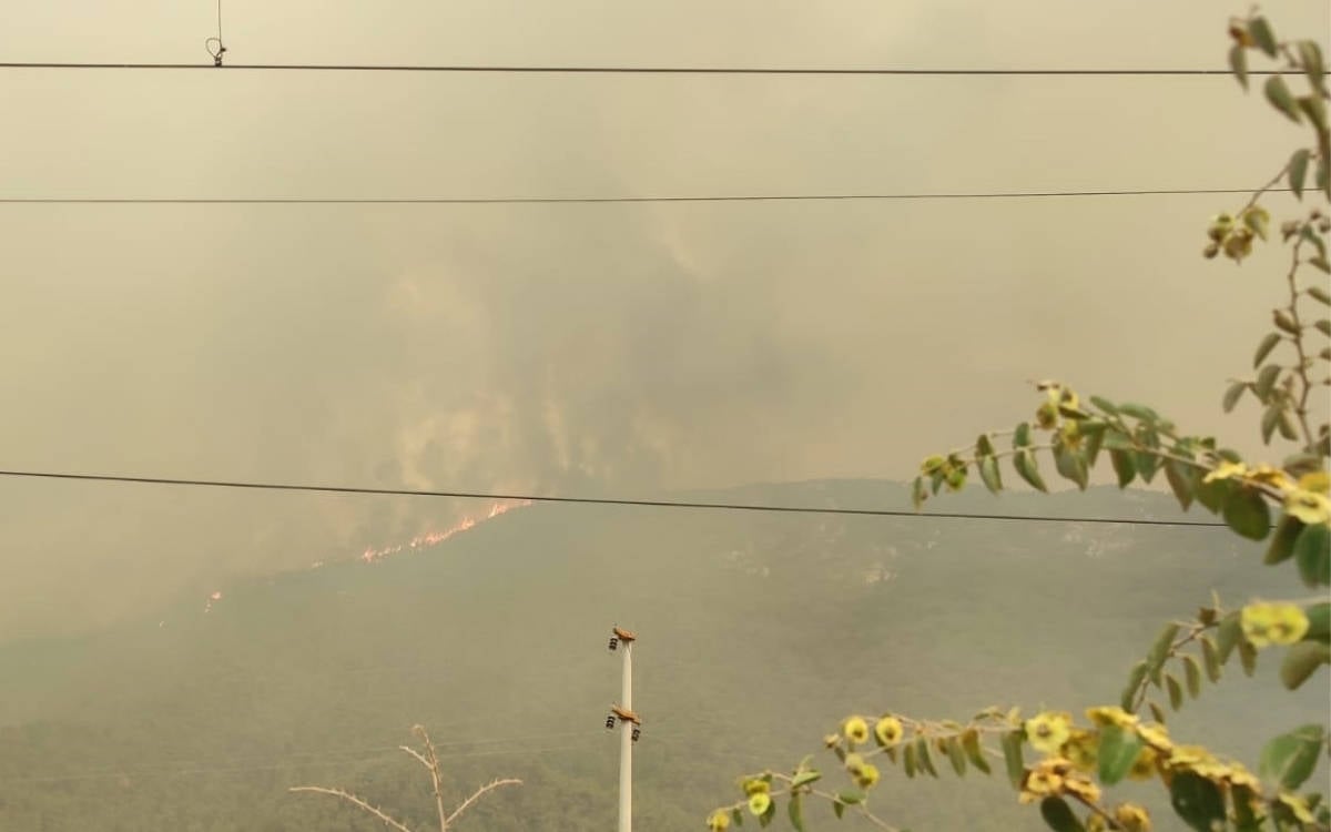 Sakarya'dan Bilecik’e sıçrayan orman yangını dördüncü gününde