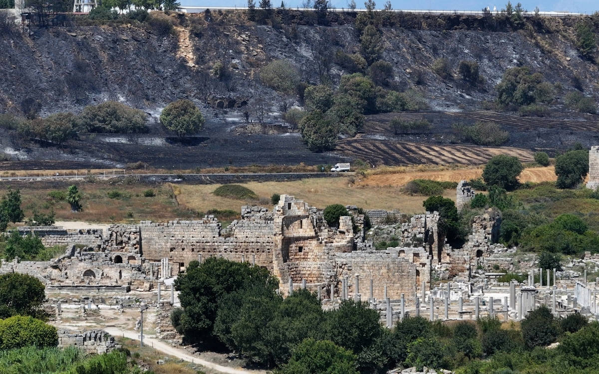 Temmuz ayındaki orman yangınları geniş çaplı yıkıma dönüştü