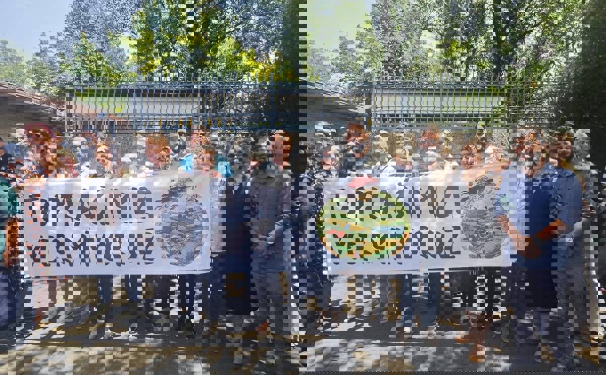 Olive groves turned into mining fields overnight: 'This is not just an environmental issue'