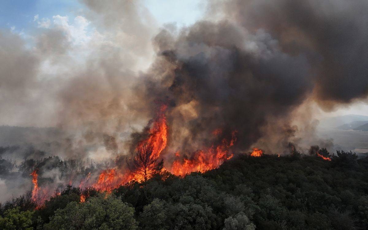 Li Çanakkaleyê şewata daristanê didome