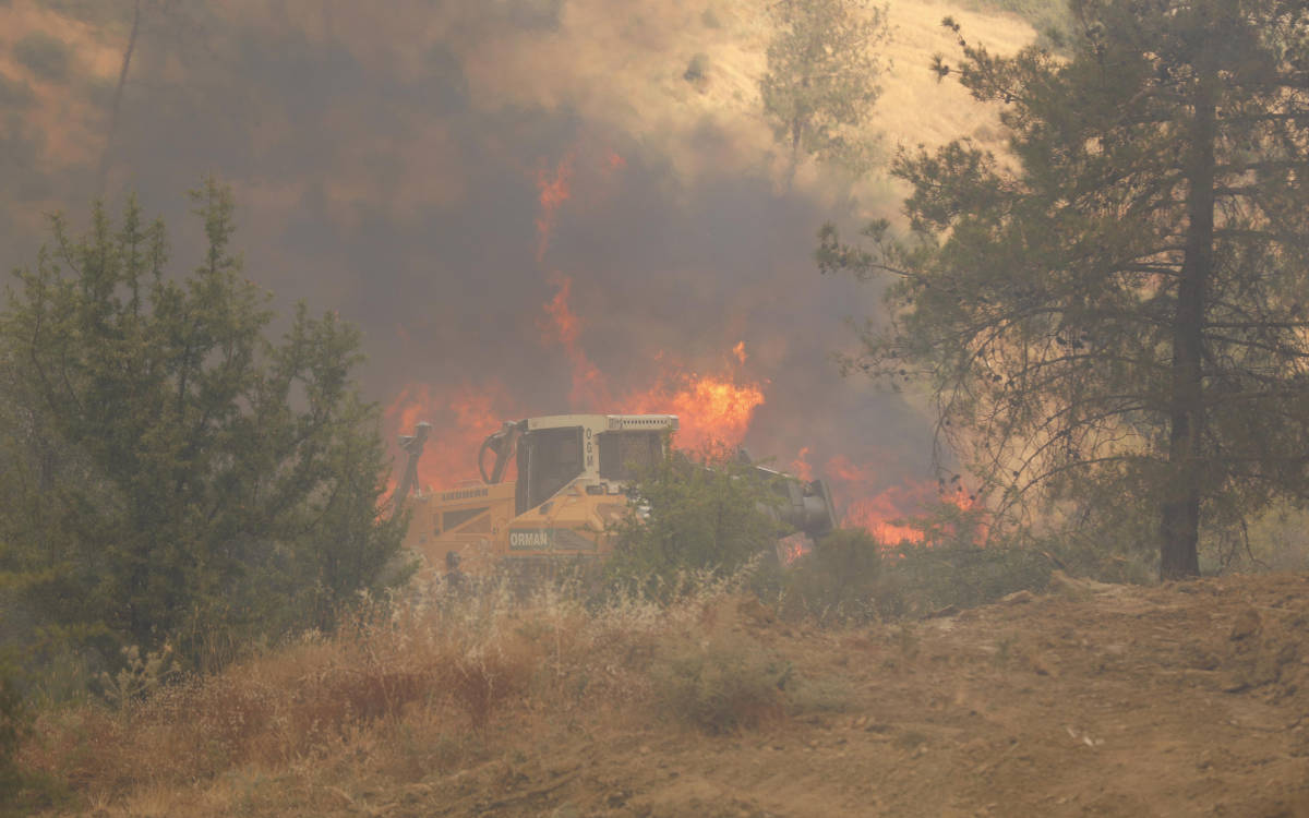 Five 'treasury hunters' face up to 18 years in prison for causing forest fire in İzmir