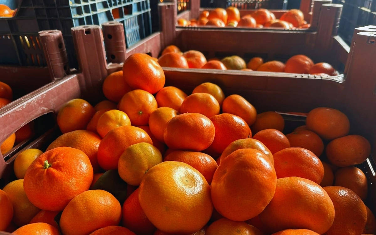 Kurtderesi’nde kamulaştırma tepkisi: “Tarım alanları, inşaat için feda ediliyor”