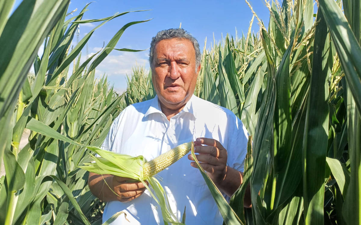 Ömer Fethi Gürer: Mısır alım fiyatı üreticiyi hayal kırıklığına uğrattı