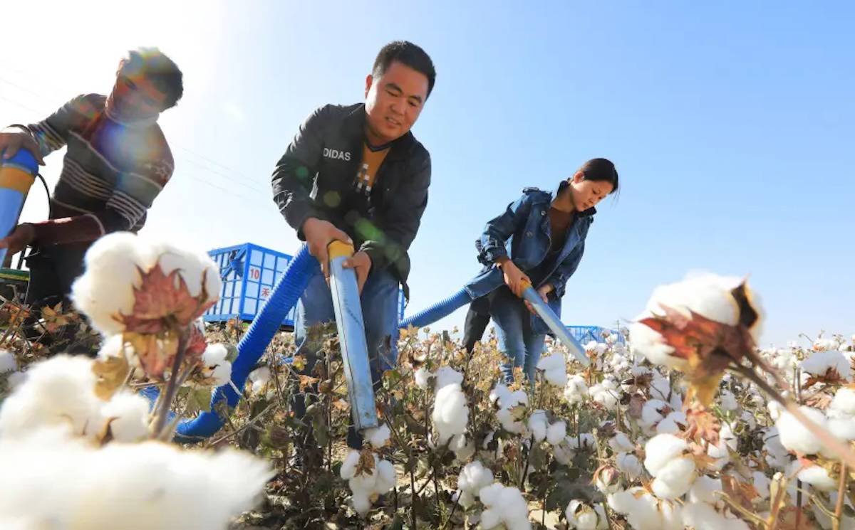 DMM: "Çin ile  3 milyon Uygur'un Türkiye'ye getirilmesi için herhangi bir anlaşma yapılmadı"