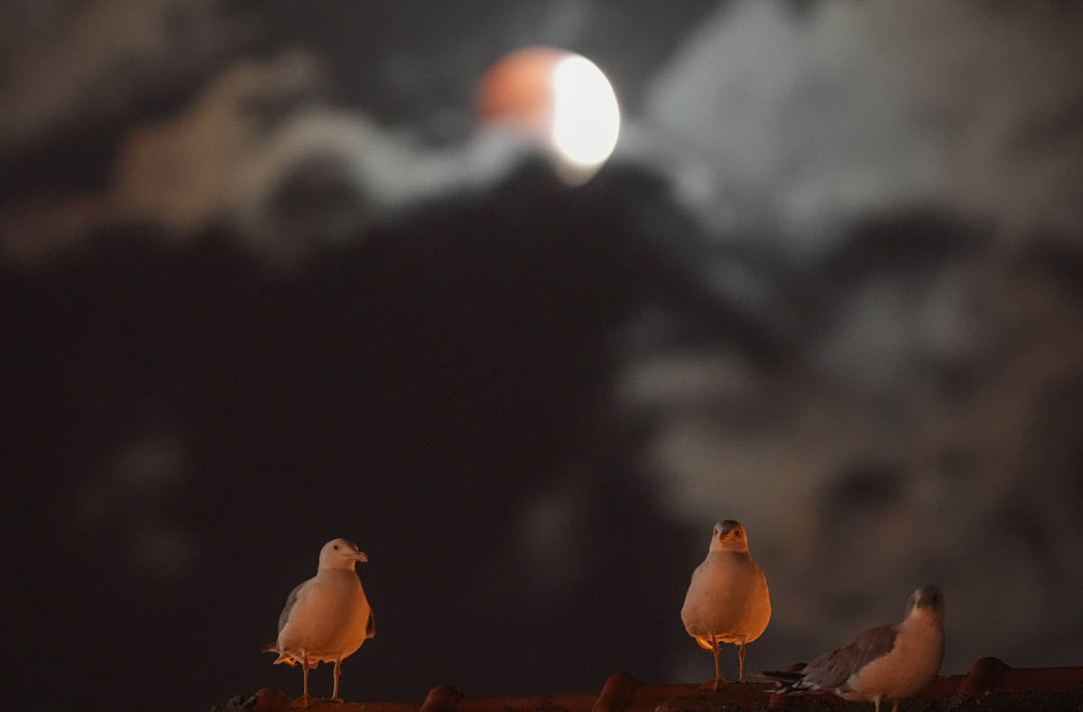 In photos: Bloody moon captivates skywatchers across Turkey