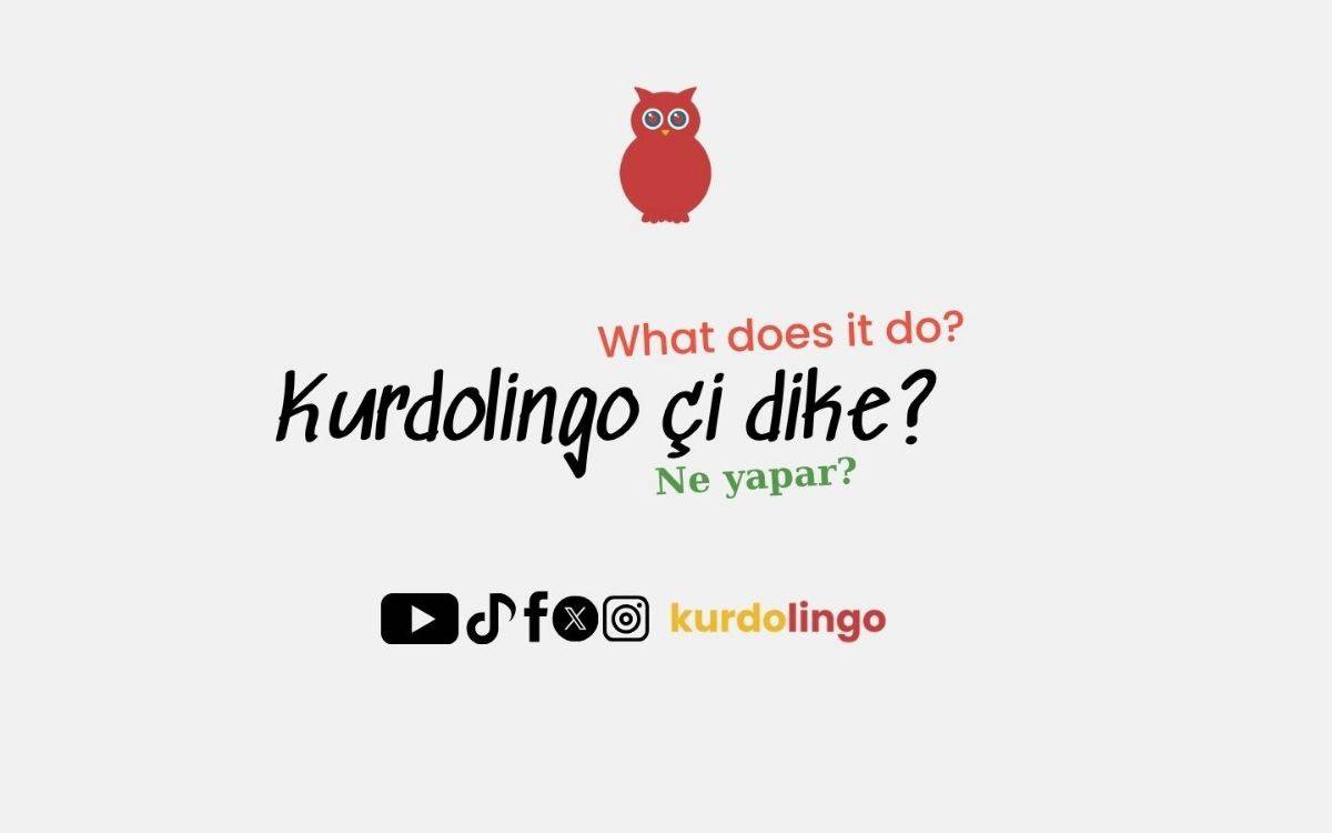 Kürtçe eğitiminde yeni bir soluk: 'Kurdolingo'