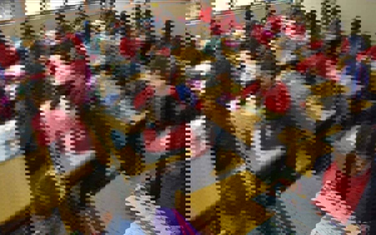 Akran zorbalığında gerçek fail kim?