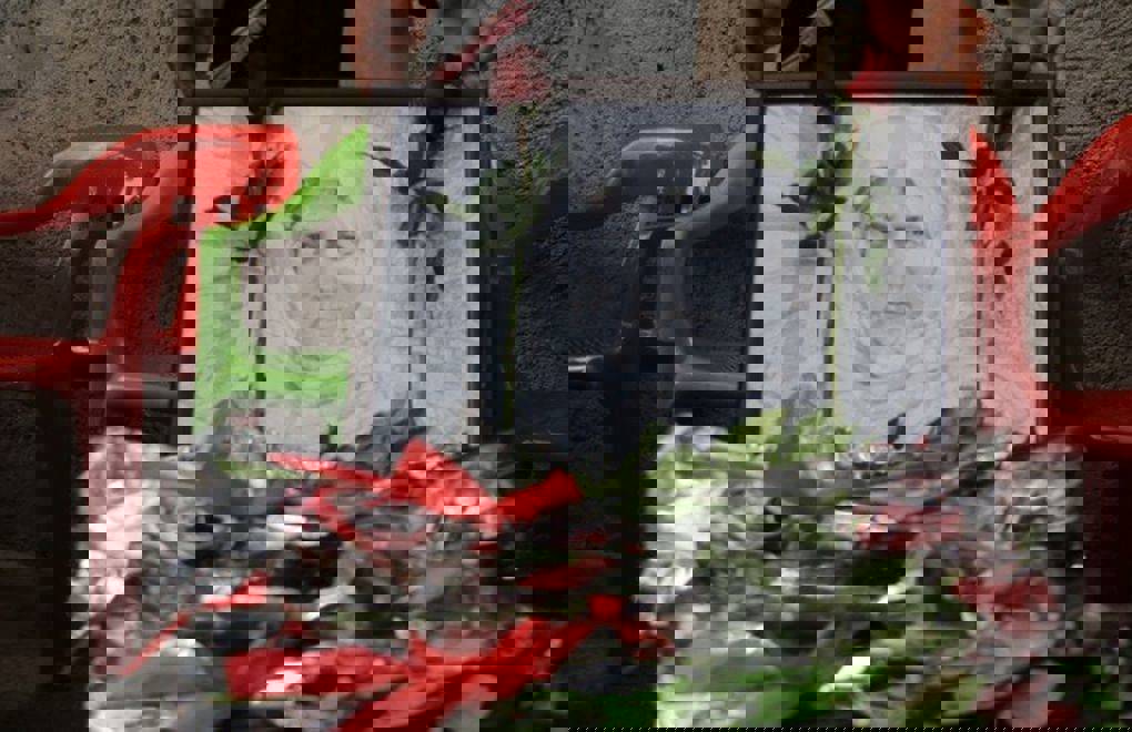 AYM'nin 'süre aşımı'ndan reddettiği Taybet İnan davası AİHM'e taşınıyor