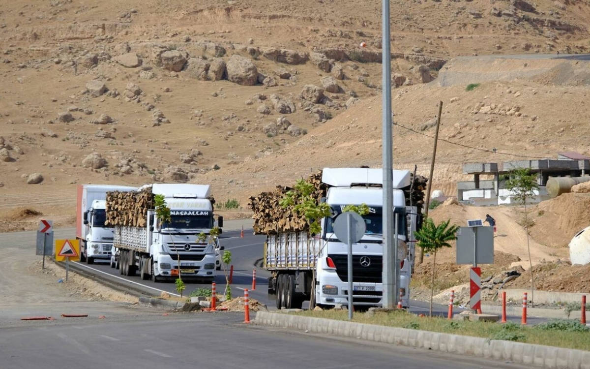 “Doğayla barışmadan toplumsal barış olmaz”