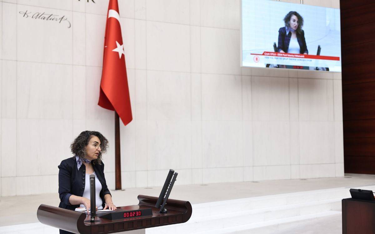 DEM Partili Çiçek Otlu’dan Adalet Bakanı’na: “Rojin Kabaiş’in ölümünü neden aydınlatmıyorsunuz?”