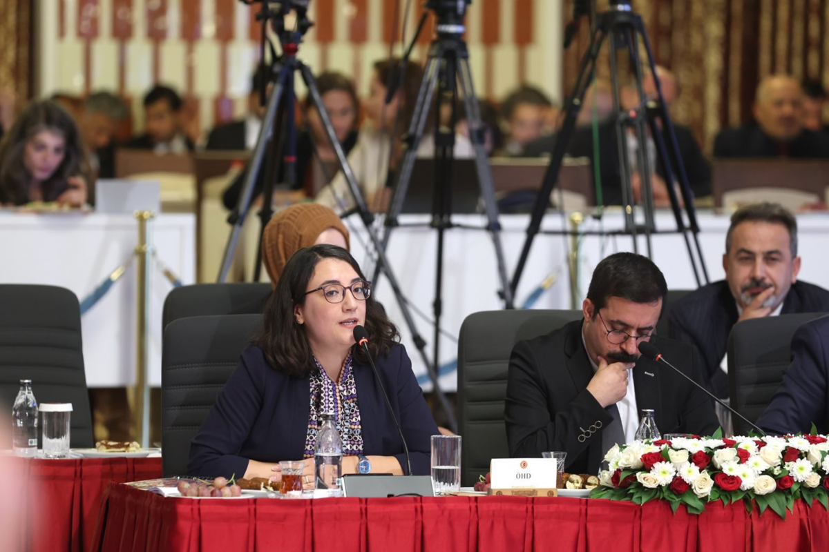 ÖHD Eş Genel Başkanları Komisyon'da konuştu: Cezaevlerinde bir insanlık krizi yaşanıyor