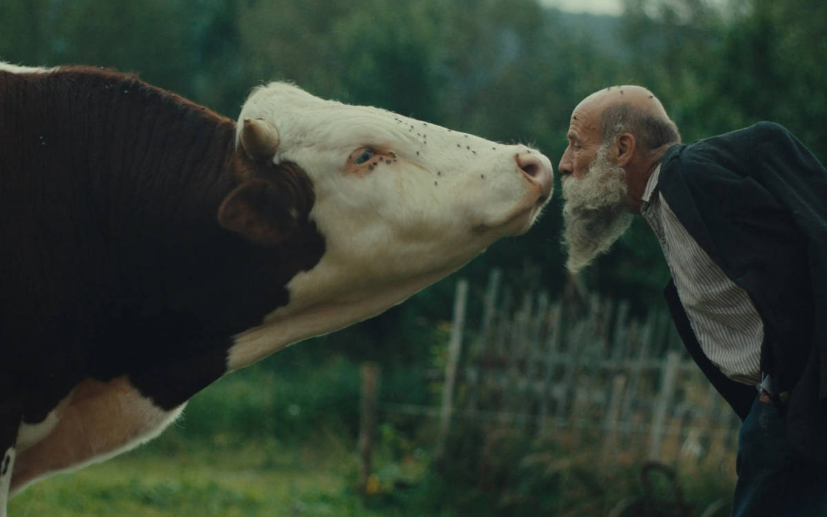 24. Filmekimi başladı