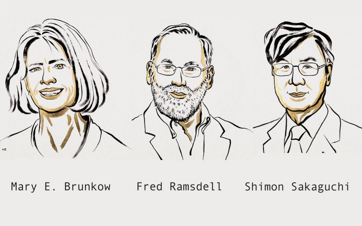 Nobel "Fizyoloji veya Tıp Ödülü" bağışıklık çalışmaları için Brunkow, Ramsdell ve Sakaguchi'ye verildi