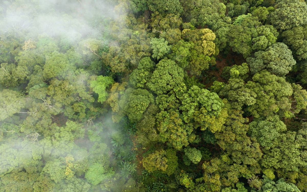 Decarbonization and poverty must be addressed together