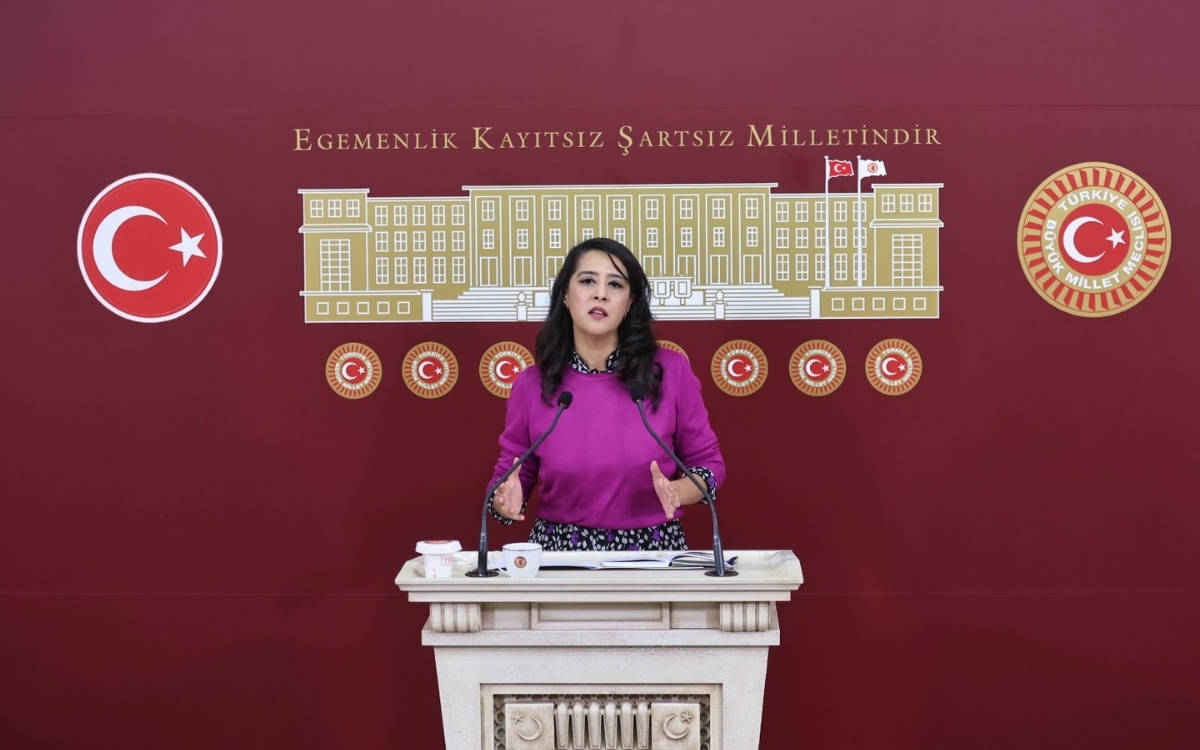 “LGBTİ+’lar bu tasarıyla, iktidar şiddetinin deneme tahtası haline getiriliyor”