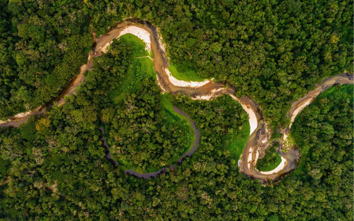 Sınır Tanımayan Gazeteciler Örgütü, #COP30 öncesi uyardı