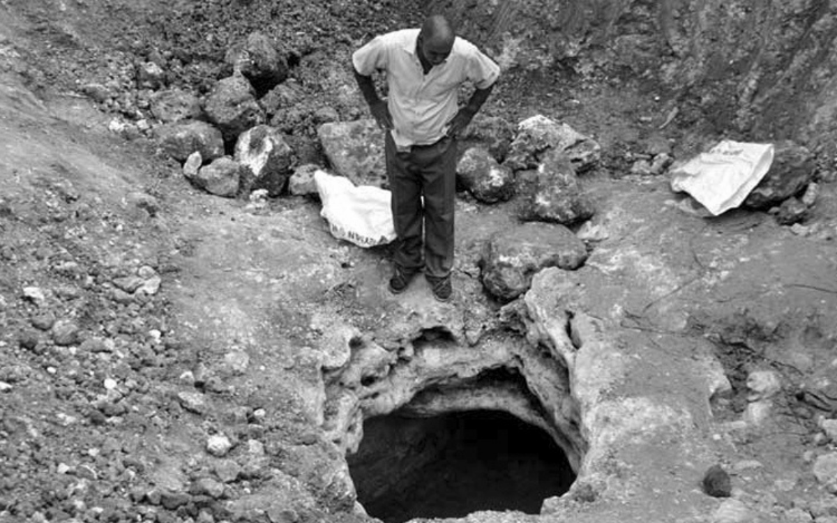 Dargeçit'in çocukları: Davut, Seyhan ve Nedim