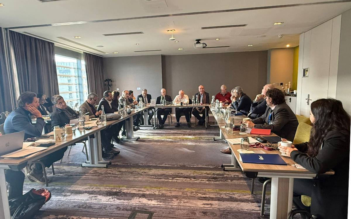 Komisyon üyeleri Dublin’de çözüm süreci deneyimlerini dinledi