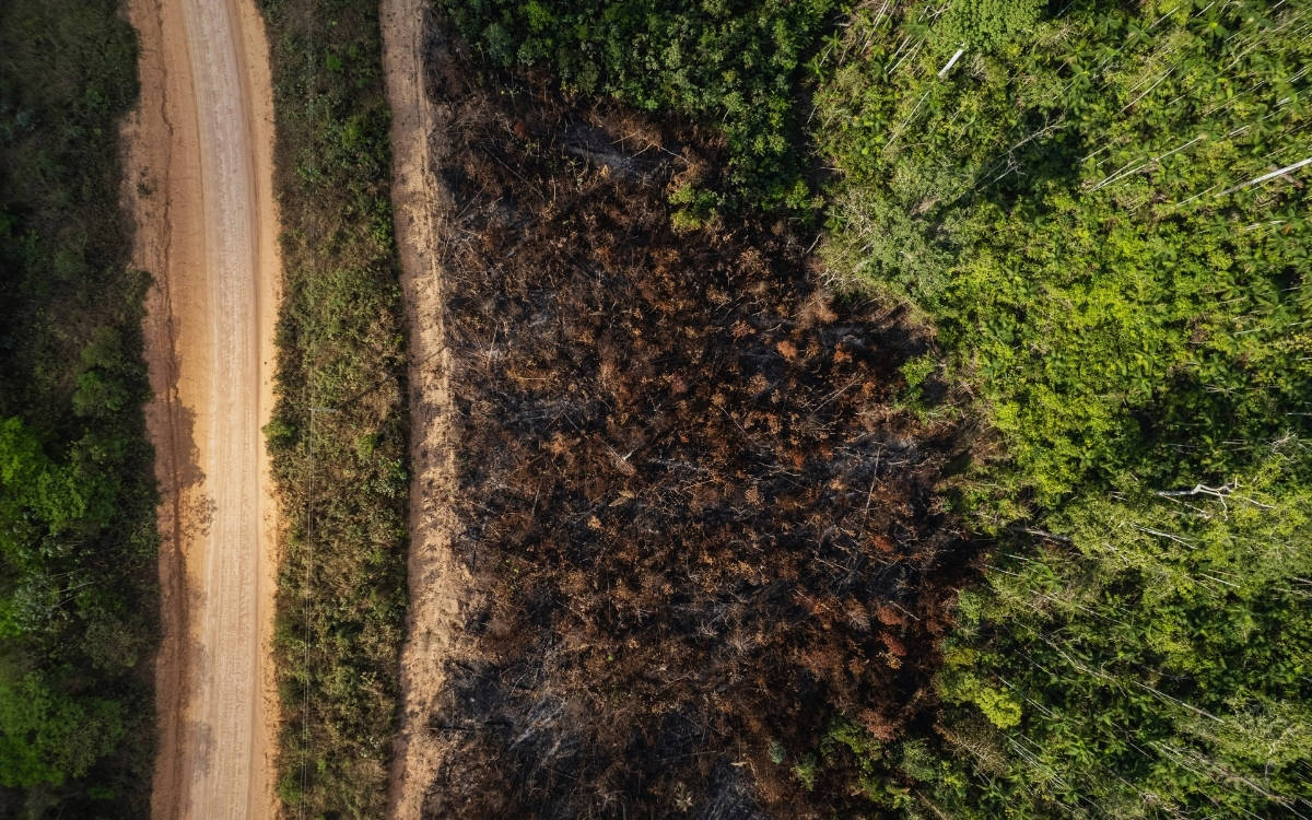 “COP’un diplomatik vitrinlerinden çıkıp, halkların yaşadığı yıkımları görünür kılması şart”