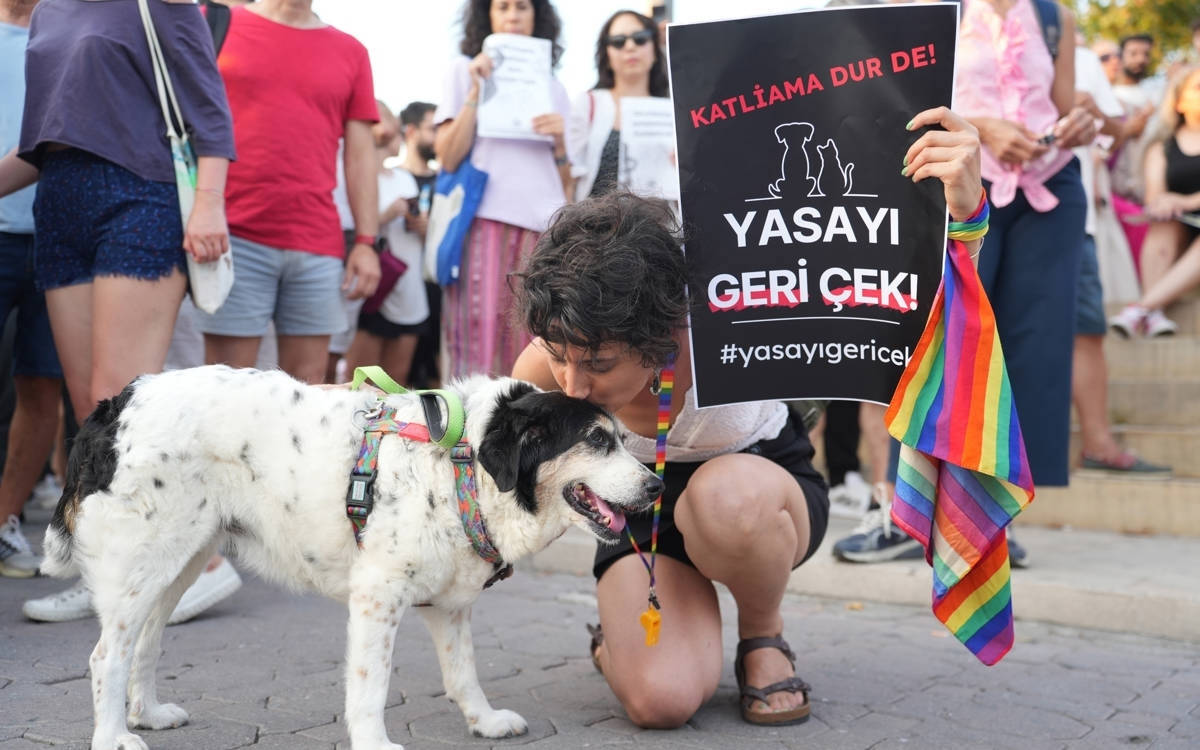 Hayvan hakları TBMM’de görmezden geliniyor