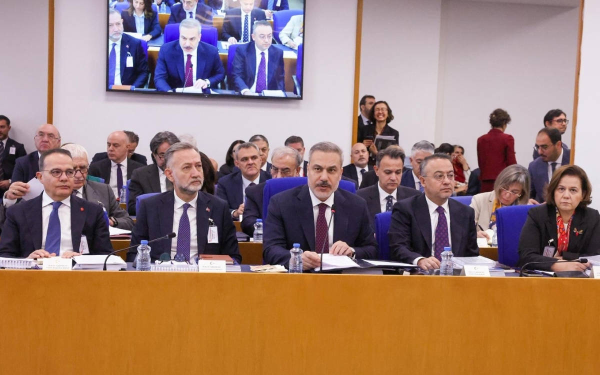 DEM Parti milletvekillerinden Dışişleri Bakanlığı bütçesi eleştirisi