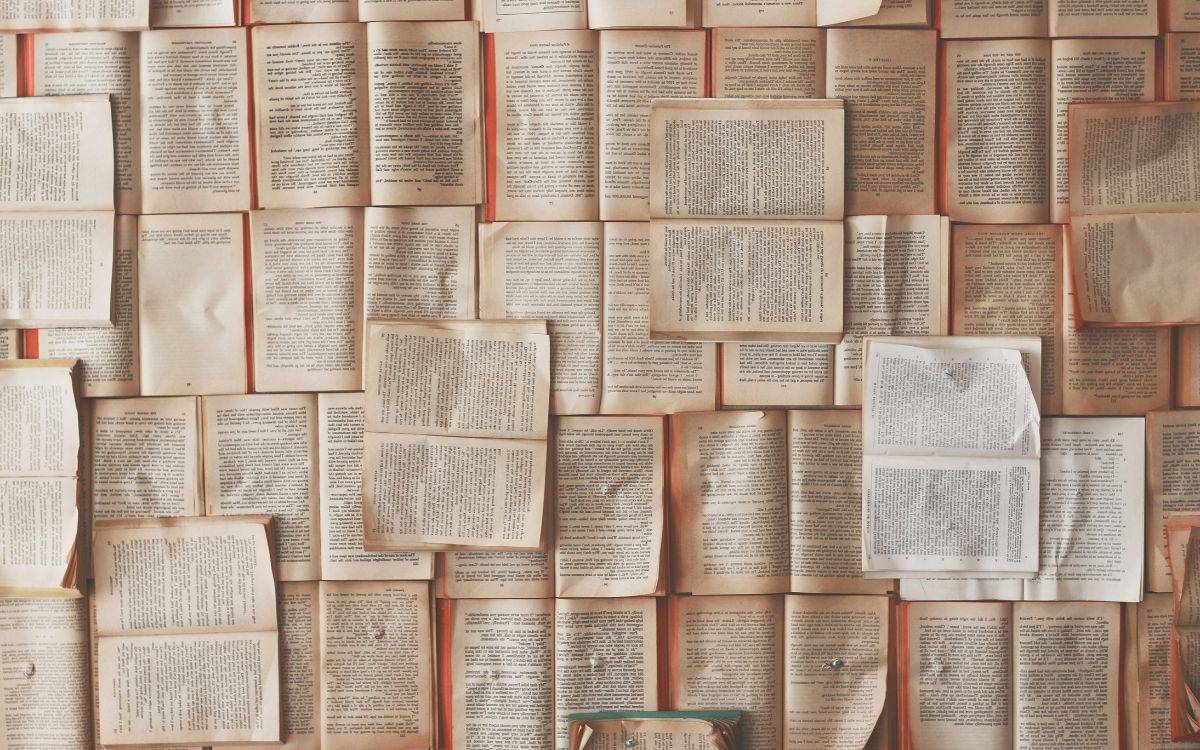 TDK, “2025 Yılının Kelimesi” için öneri sürecini başlattı