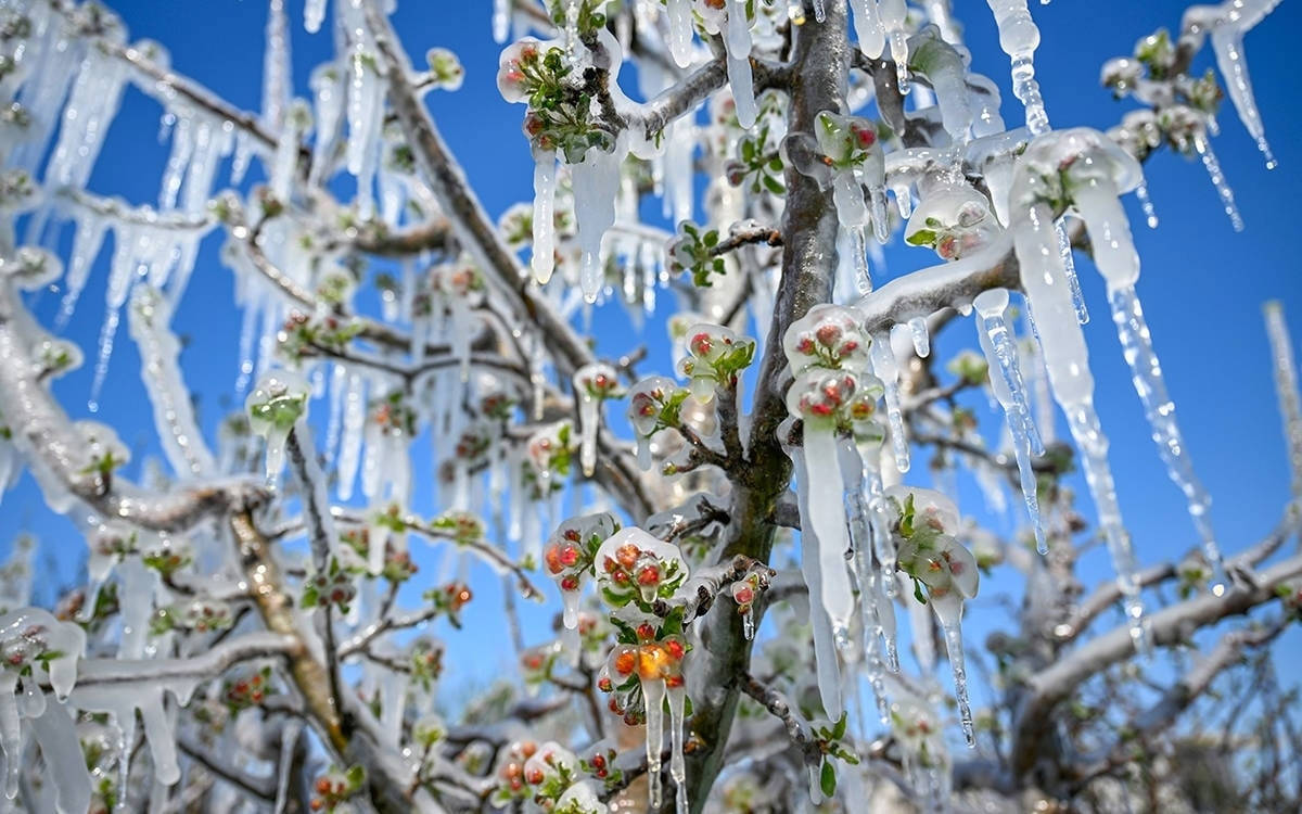 Uzmanlar uyarıyor: Tarımda ürün yelpazesi değişmek zorunda