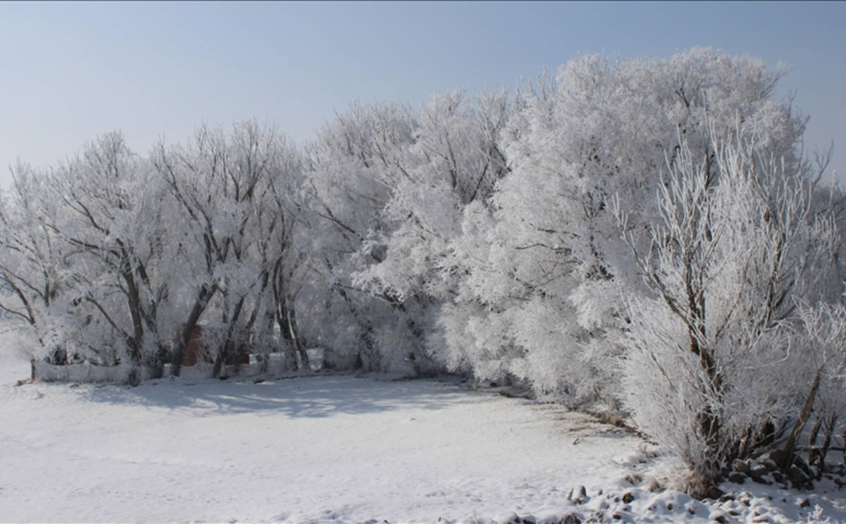 Ji serma û mija Qers, Erdexan û Agiriyê çend dîmen