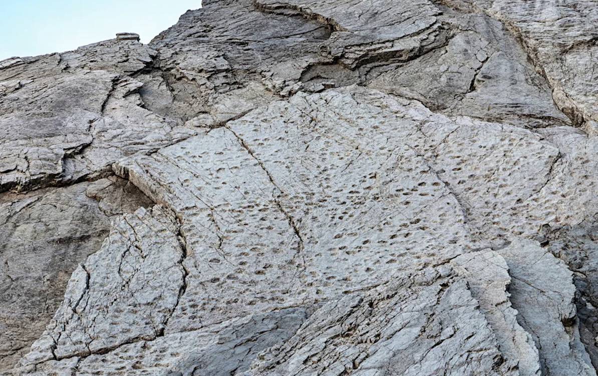 İtalya: Dinozorların 200 milyon yıl önceki uzun yürüyüşünün izleri Alpler'in yamaçlarında bulundu