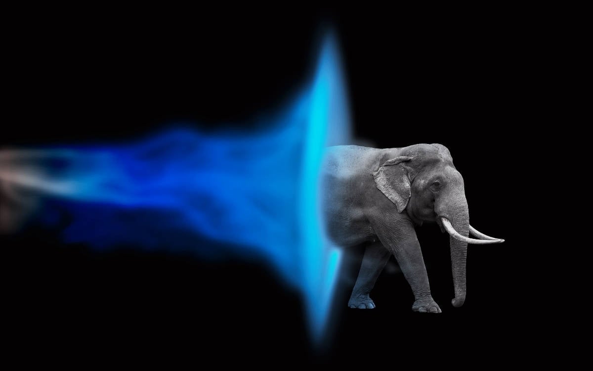 14. Pembe Hayat KuirFest: Filin büyüğü geliyor