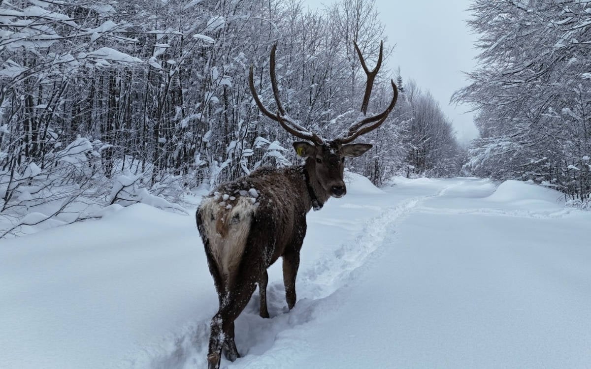 Meteoroloji’den ülke genelinde don ve buzlanma uyarısı