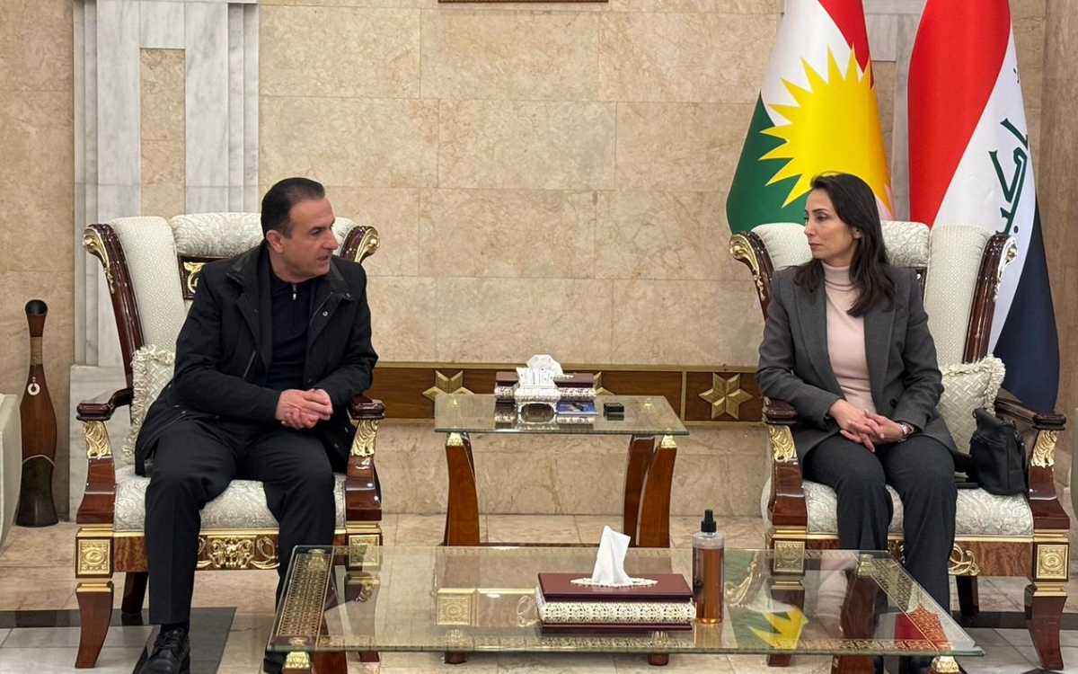 DEM Parti heyeti, Kuzey ve Doğu Suriye’de