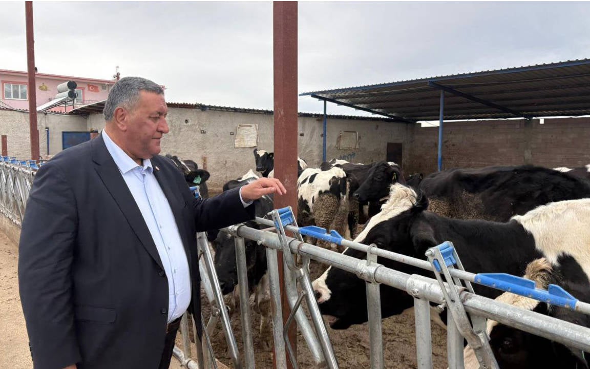 Türkiye, 2025'te tarihinin en yüksek ikinci canlı hayvan ithalatını yaptı