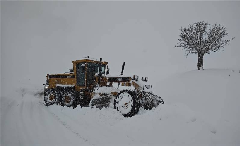 Ji ber berfê li Wan û Colemêrgê rêyên 176 cihan hatin girtin