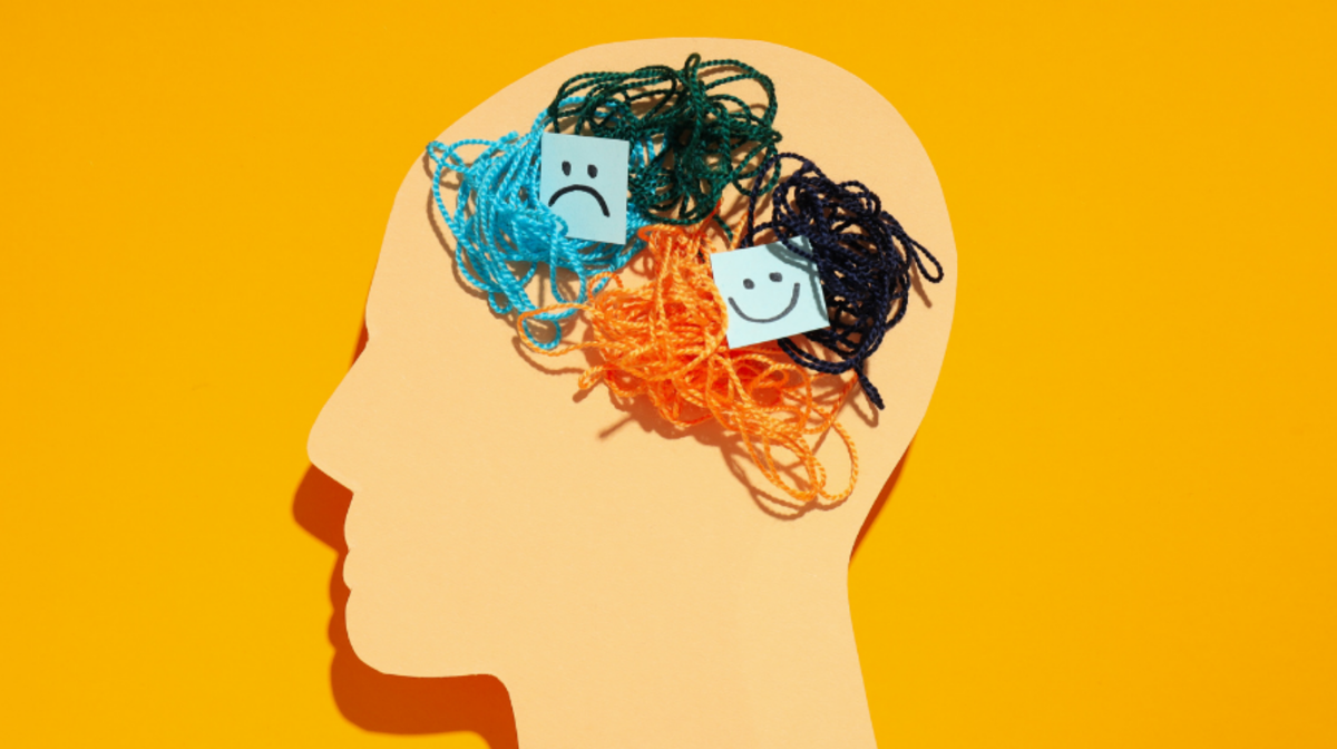 “Başarı Yolculuğunda Rehberlik” okuyucuyla buluştu